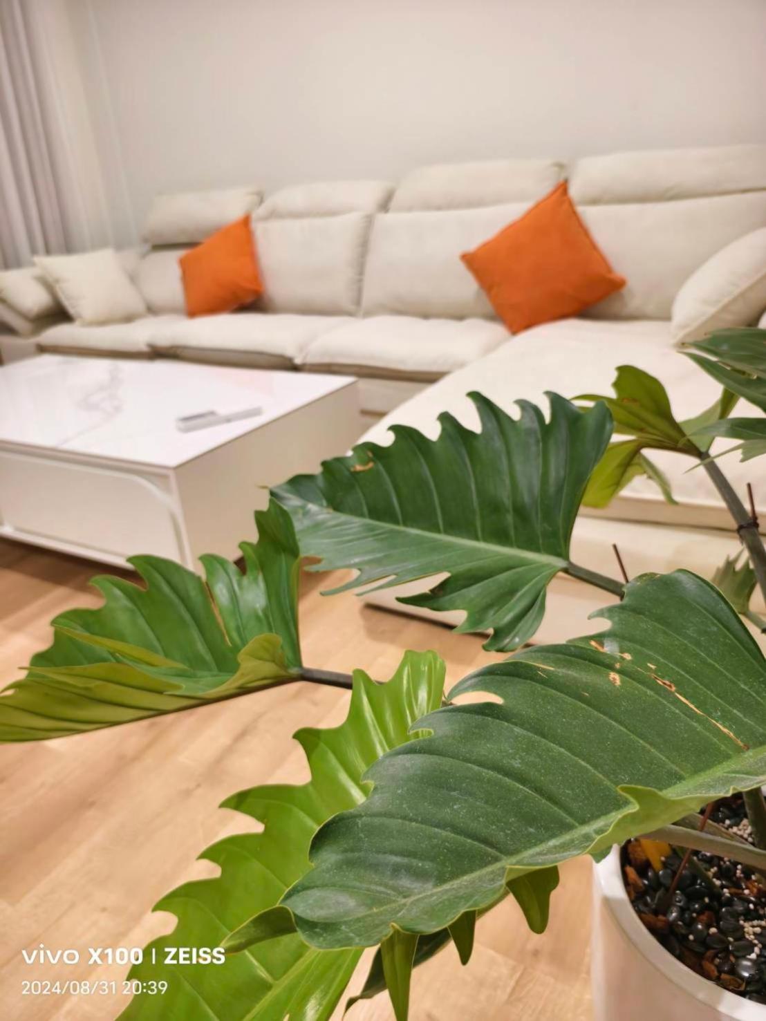 Appartement 恆春水漾會館 à Heng-ch'un Extérieur photo